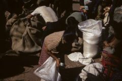 Distribuzione riso: un tanto per famiglia secondo il numero delle persone. Il riso risultava sempre insufficiente: la gente pativa la fame